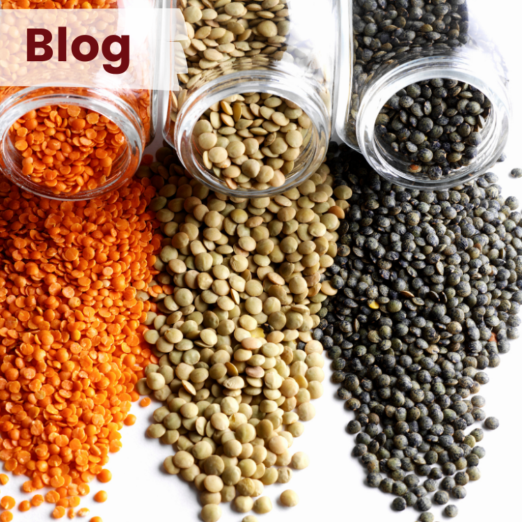 red, green, and black lentils 
